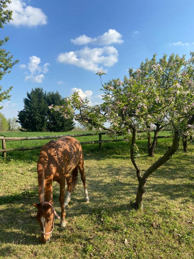 Agriturismo Loghino Caselle San Giorgio di Mantova Kültér fotó