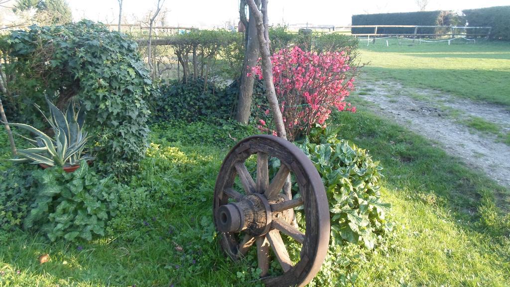 Agriturismo Loghino Caselle San Giorgio di Mantova Kültér fotó